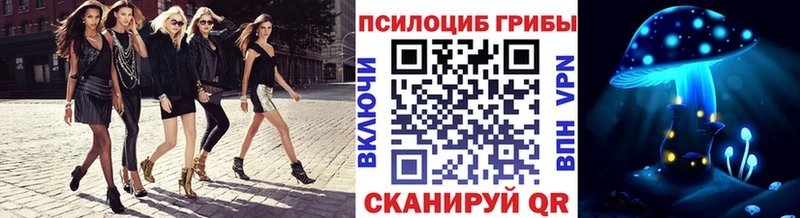 Купить закладки  Тара  Галлюциногенные грибы Magic Shrooms 